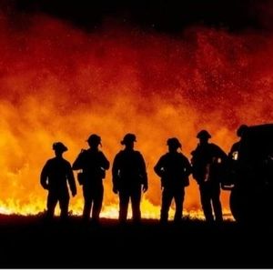 Meet your Posher, Greg